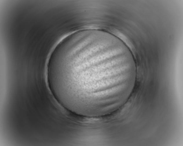 X0000092061187200709262022