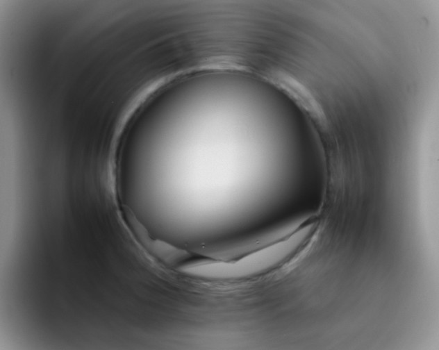 X0000092061188200709262022