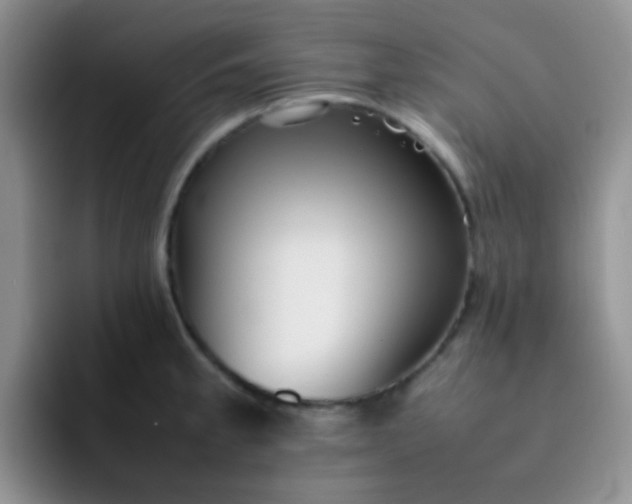 X0000092061189200709262022