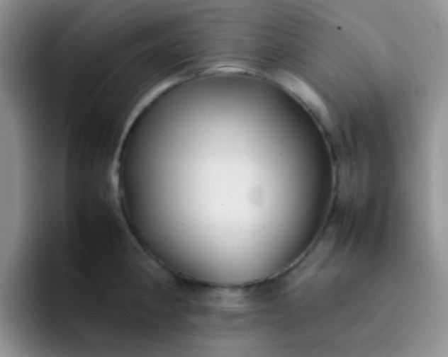 X0000092061190200709262022