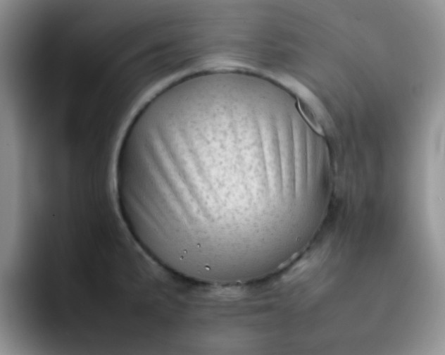 X0000092061191200709262022