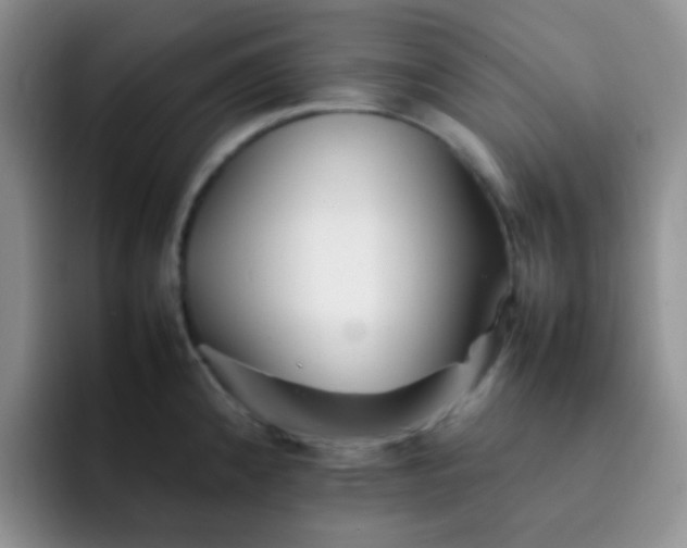 X0000092061192200709262022