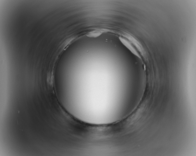 X0000092061193200709262022