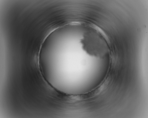 X0000092061194200709262022