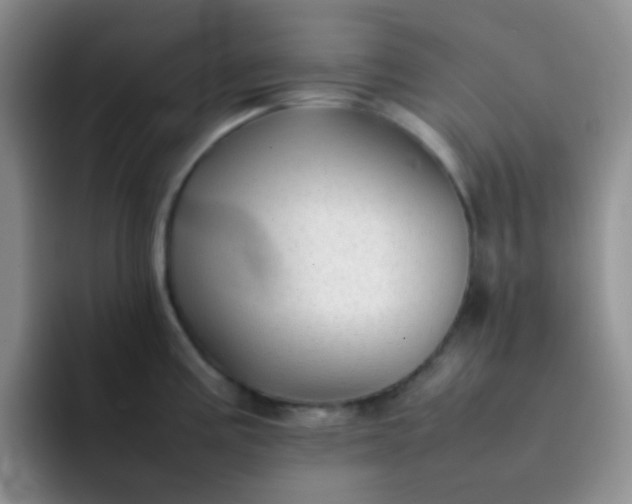 X0000092061195200709262022