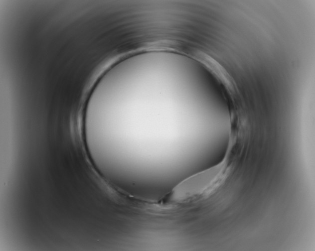 X0000092061196200709262022