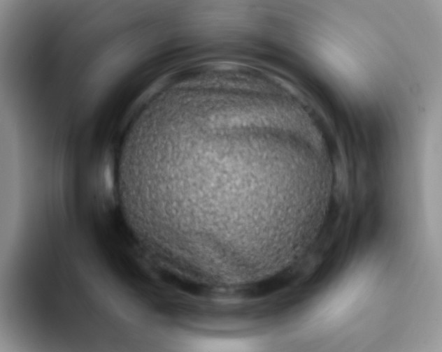 X0000092061198200709262022