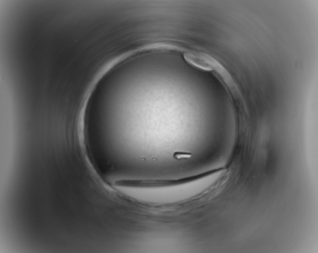 X0000092061199200709262022