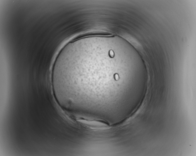 X0000092061200200709262022