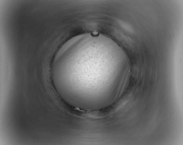 X0000092061201200709262021