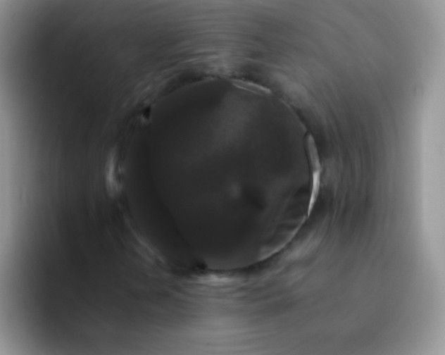 X0000092061202200709262021