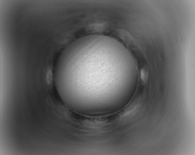 X0000092061203200709262021