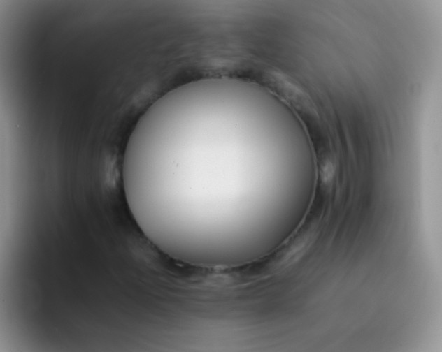 X0000092061204200709262021