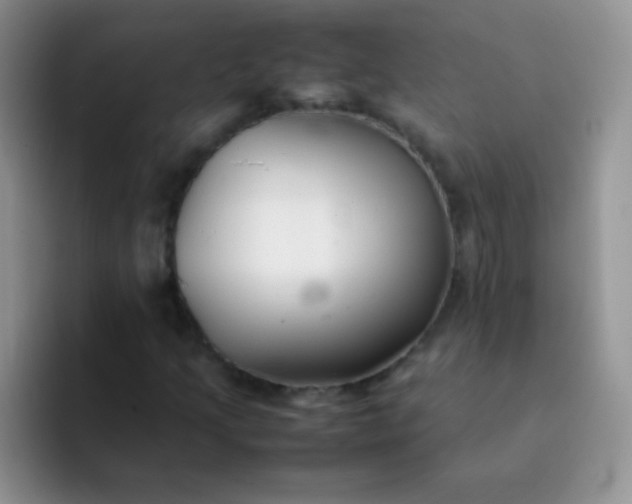 X0000092061205200709262021