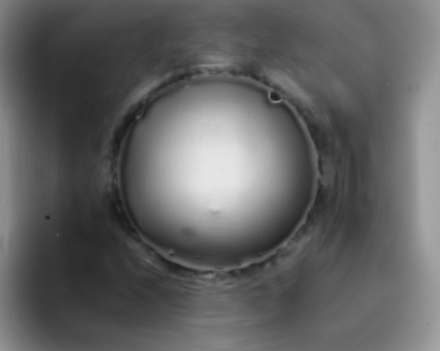 X0000092061208200709262021