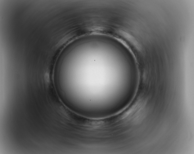 X0000092061209200709262021