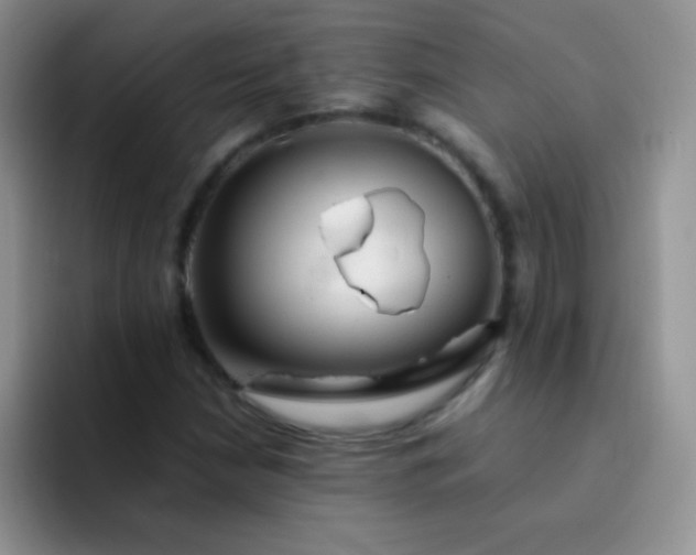 X0000092061210200709262021