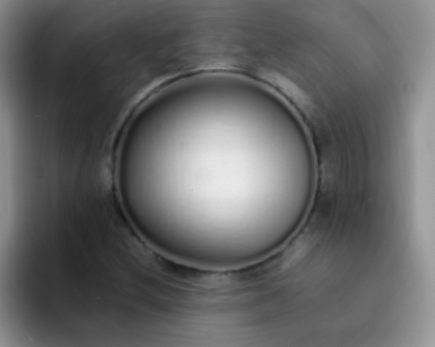 X0000092061212200709262021