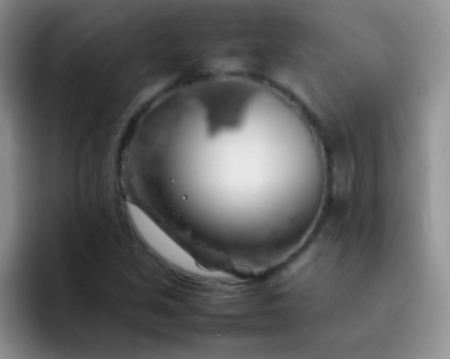 X0000092061213200709262021