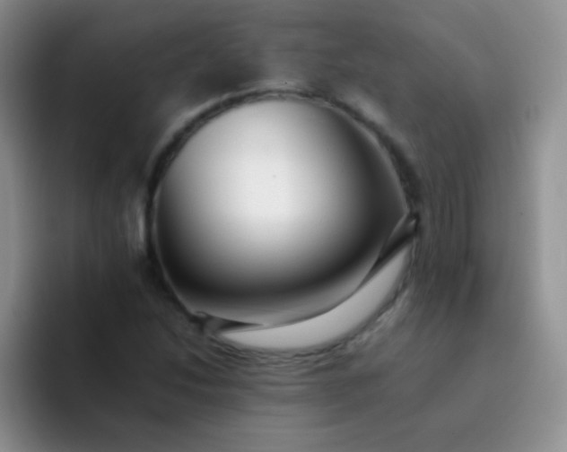 X0000092061214200709262021