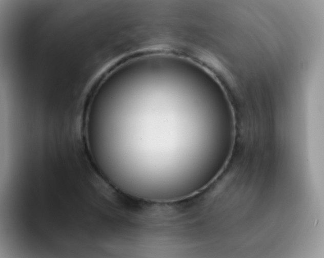 X0000092061216200709262021