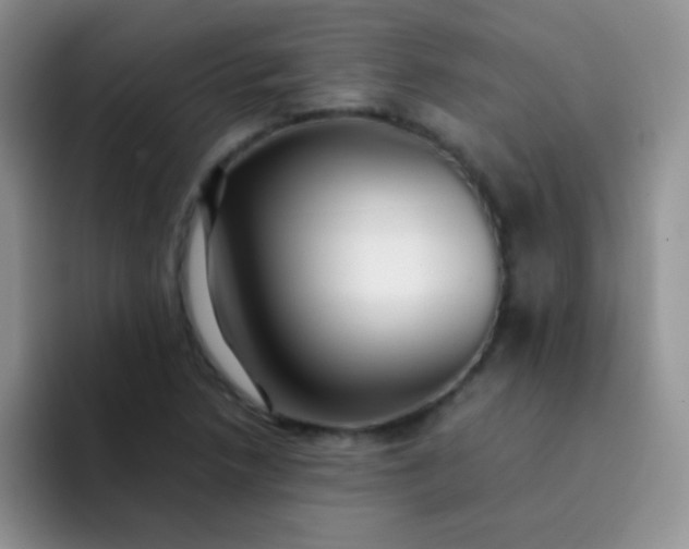 X0000092061218200709262021