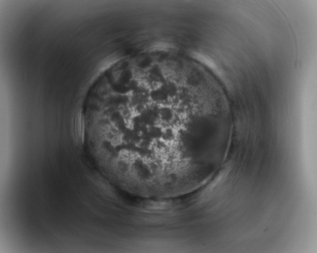 X0000092061219200709262021