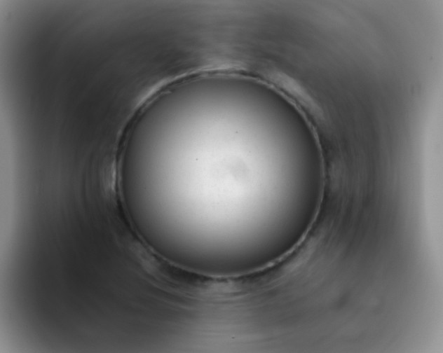 X0000092061220200709262021