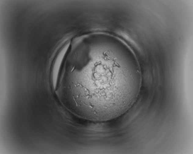 X0000092061221200709262021