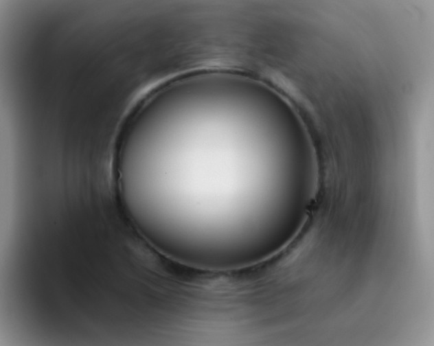 X0000092061222200709262021