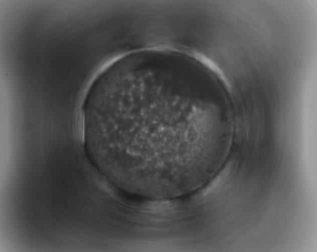 X0000092061223200709262022