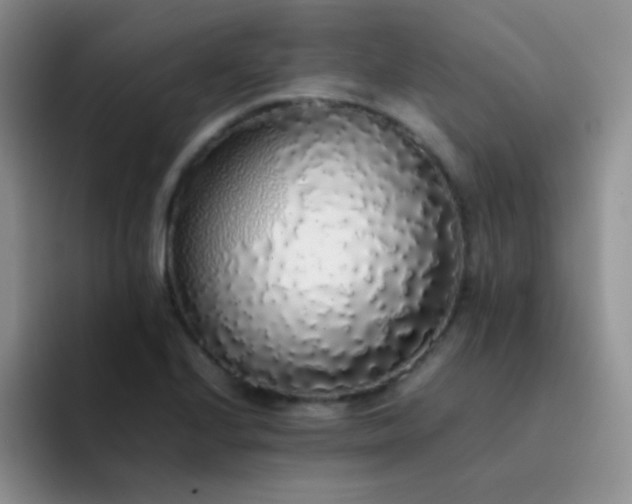 X0000092061224200709262022