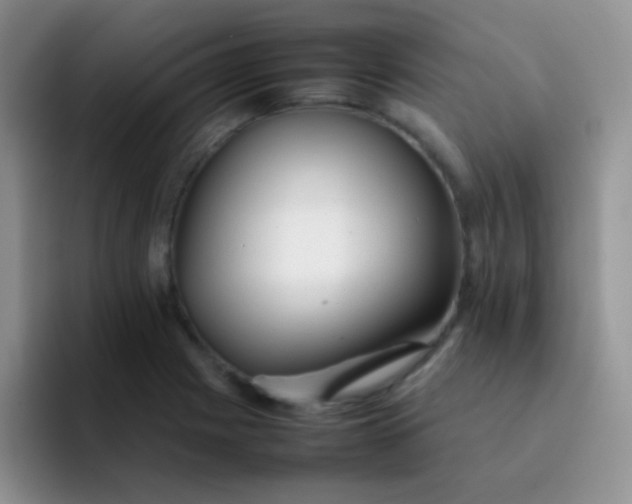 X0000092061225200709262022