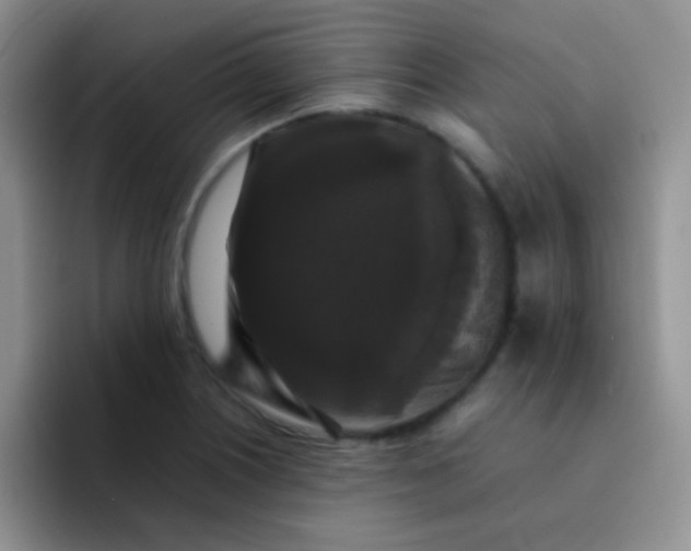 X0000092061226200709262022