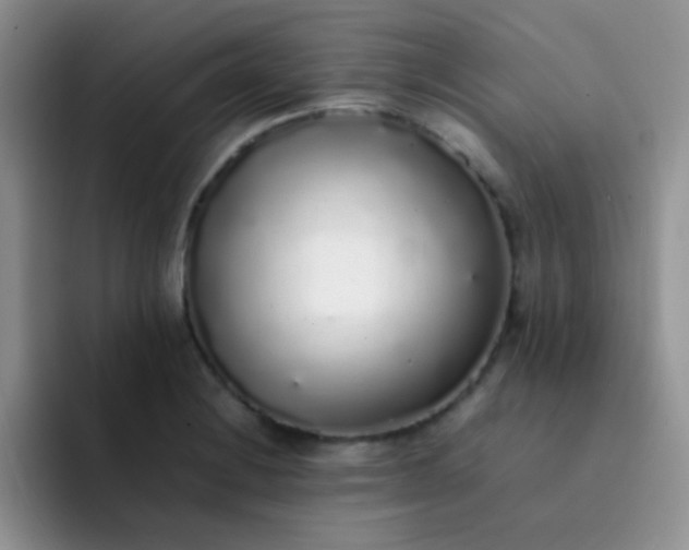 X0000092061228200709262022