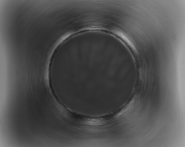 X0000092061229200709262022