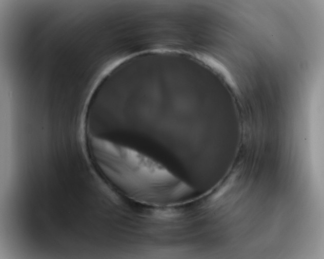 X0000092061231200709262022