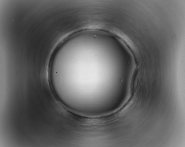 X0000092061232200709262022