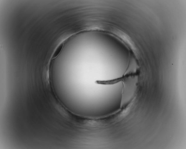 X0000092061234200709262022