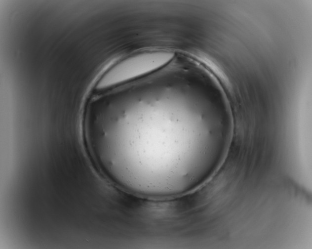 X0000092061237200709262022