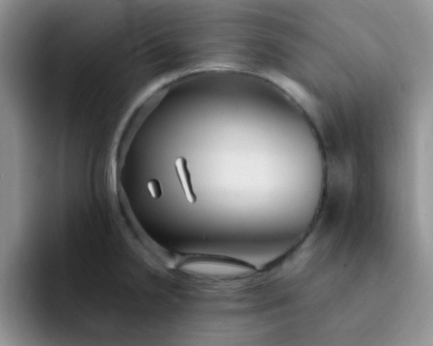 X0000092061238200709262022