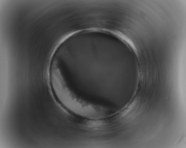 X0000092061239200709262022