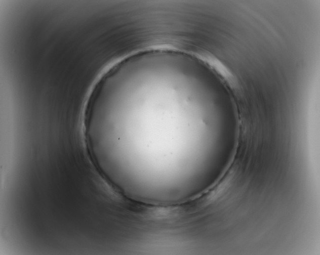 X0000092061240200709262022