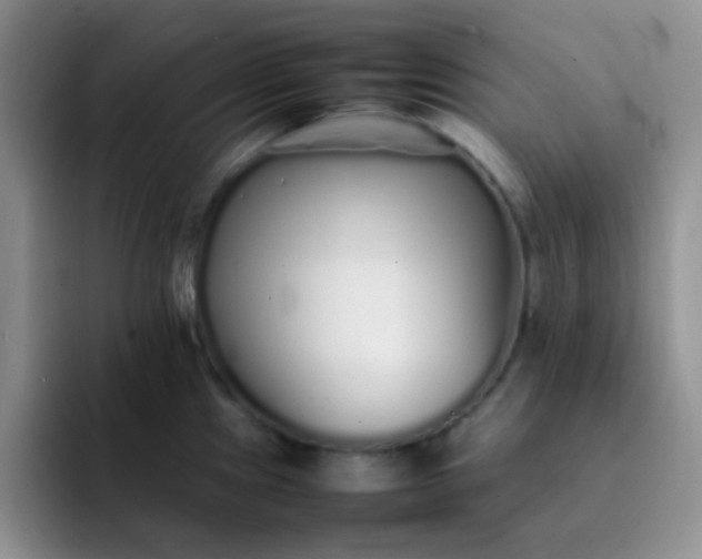 X0000092061241200709262022