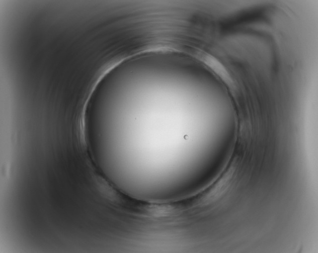 X0000092061242200709262022