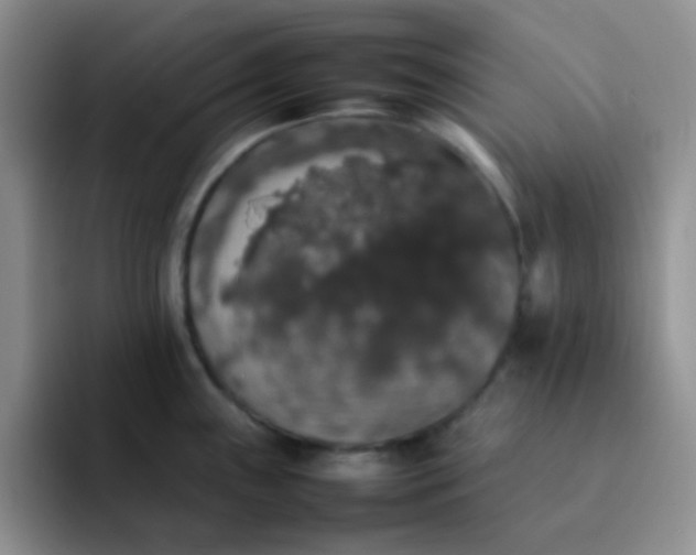 X0000092061243200709262022