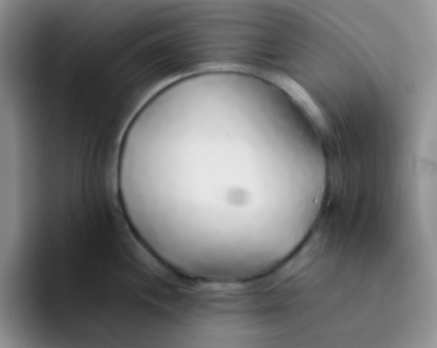 X0000092061244200709262022