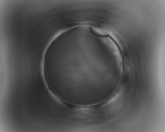 X0000092061245200709262022