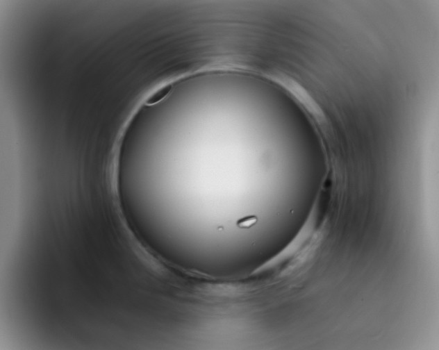 X0000092061246200709262022