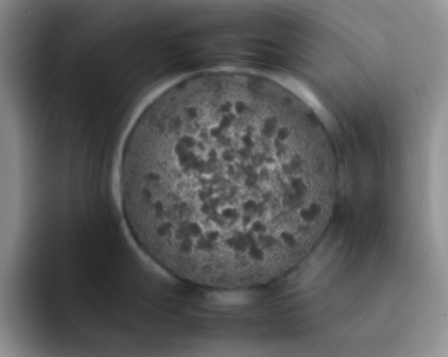 X0000092061247200709262022